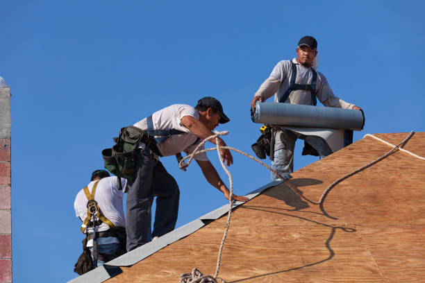 Best Roof Gutter Cleaning  in Amelia Court House, VA